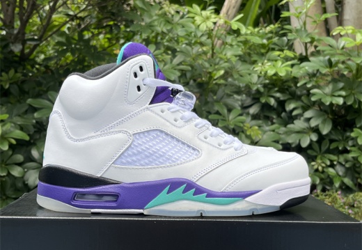 Air Jordan 5 Retro Grape 136027-108 40-48.5